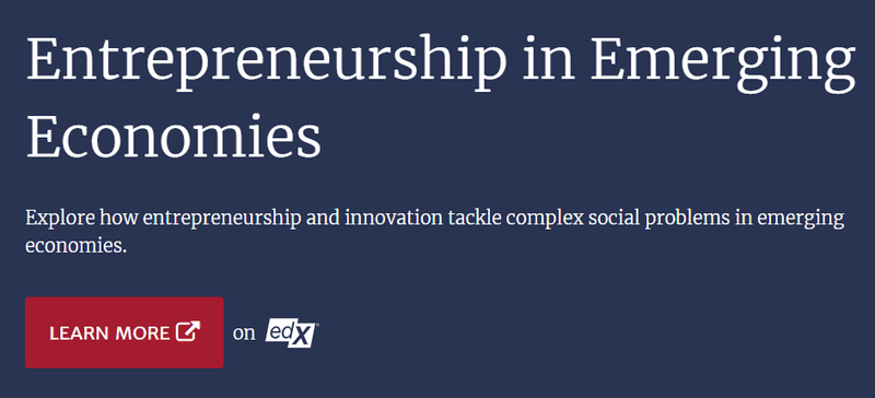 Entrepreneurship-in-Emerging-Economies-3