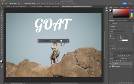 How To Add Fonts To Photoshop: A Step-by-Step Guide For Font Integration