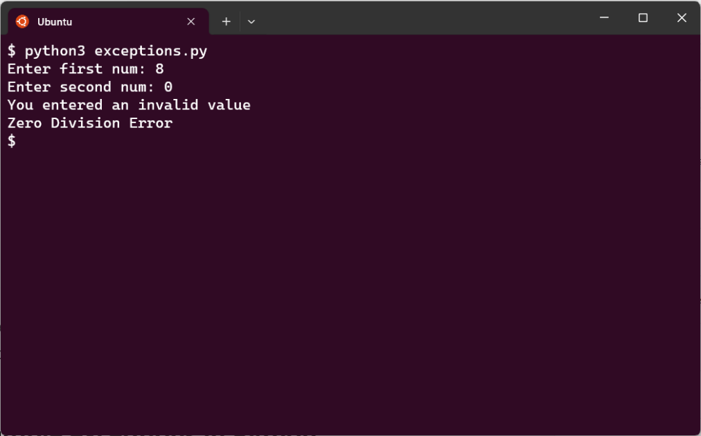 Catching-Multiple-Exceptions-with-Conditional-2