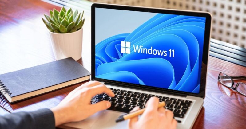 Understanding and Managing User Accounts in Windows 11