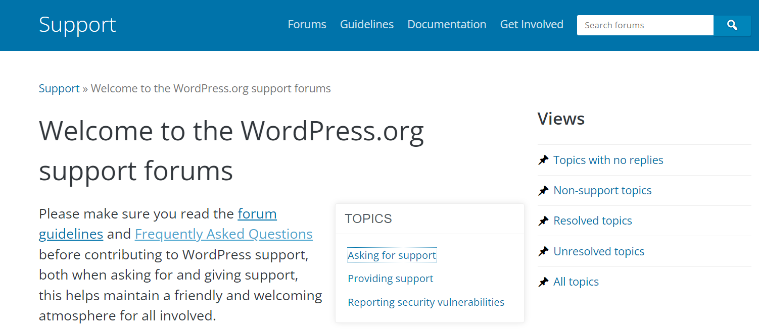 WordPress Support