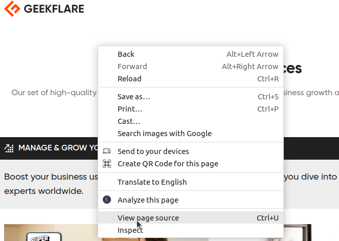 View page source