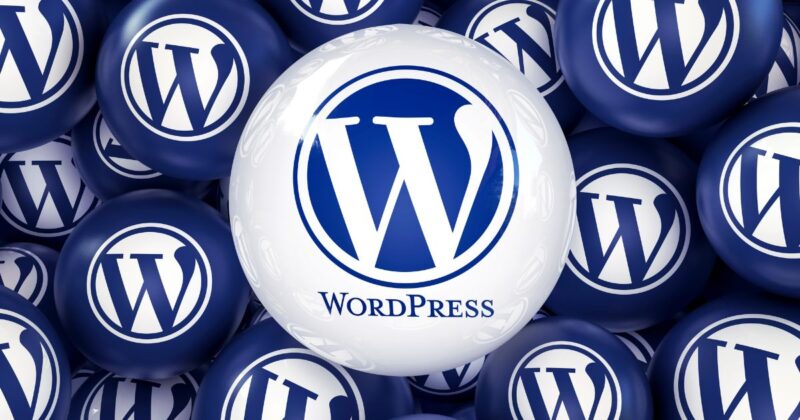 WordPress Multisite The Future of Web Management