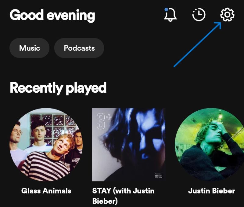 settings-option-on-spotify-app