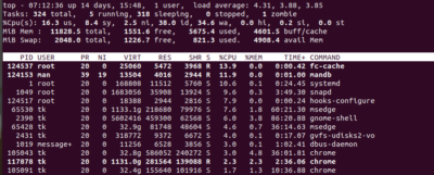 9 Linux Task Managers to Boost Your System's Efficiency