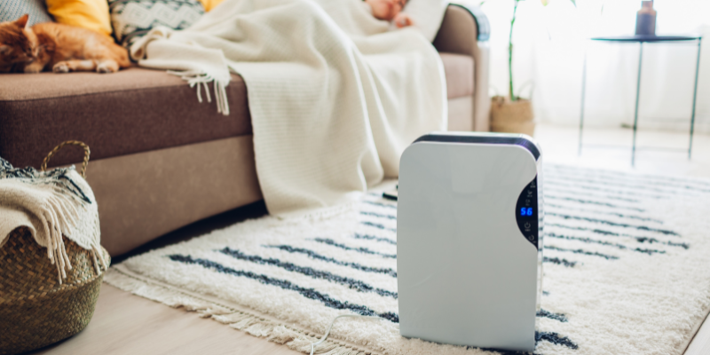 Dehumidifiers-for-home