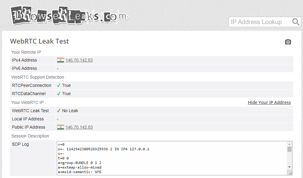 WebRTC leak test