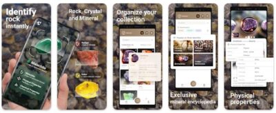 12 Best Identifier Apps to Harness Your Phone Camera [2026]
