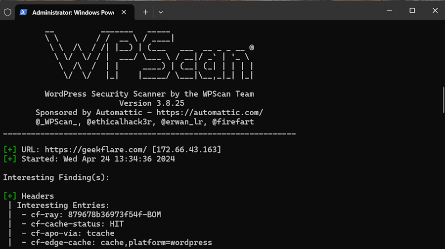 Docker-WPScan-Report