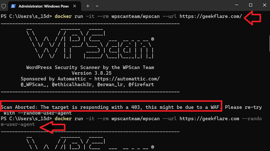 Docker-WPScan