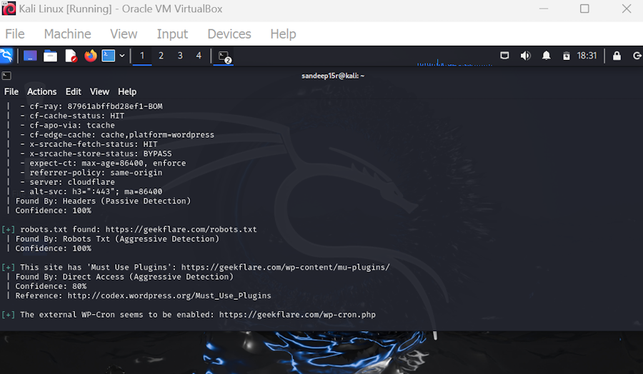 WpScan-Report-on-Kali-Linux