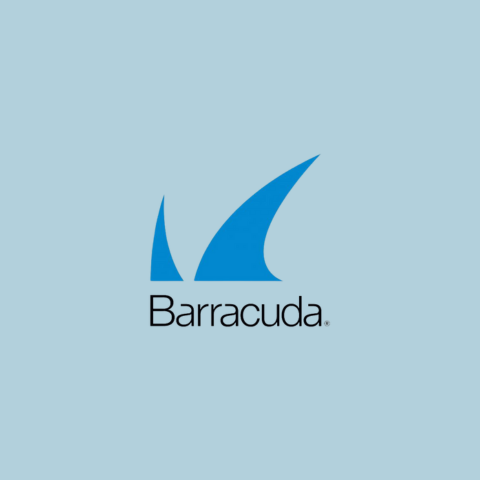 Barracuda