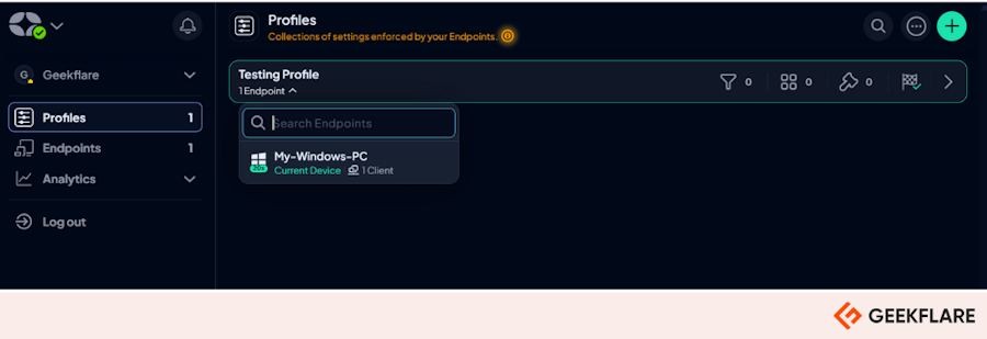 Control D dashboard showing endpoint setup completion