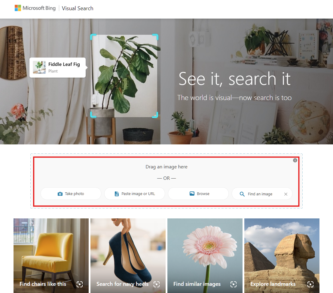 Bing visual search
