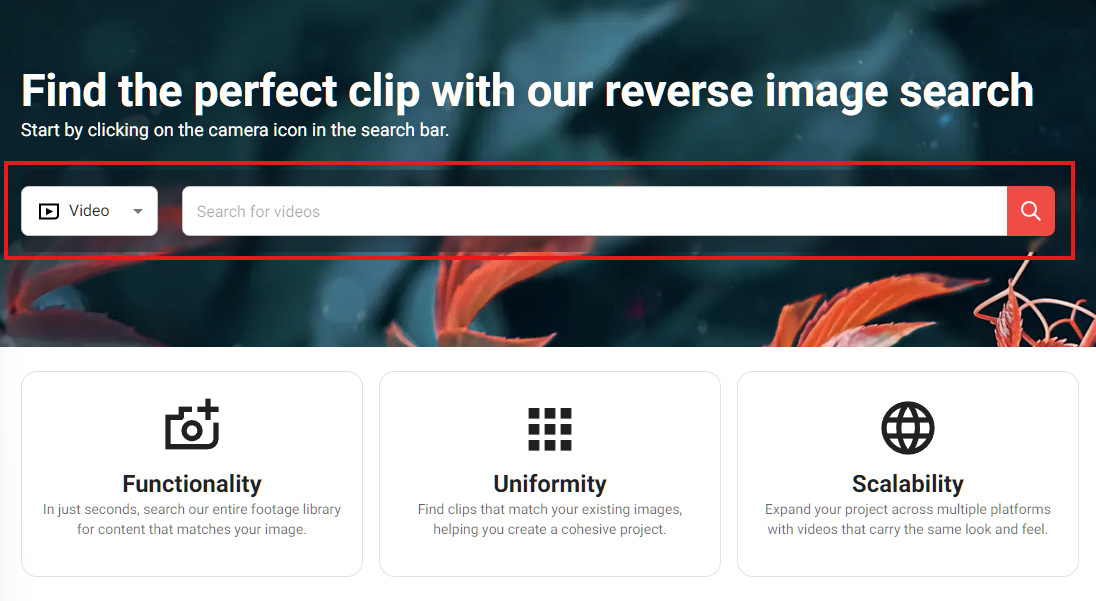 shuttershock reverse video search