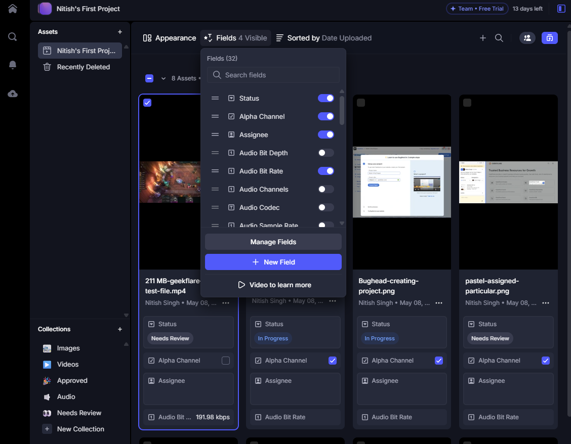 frame.io fields