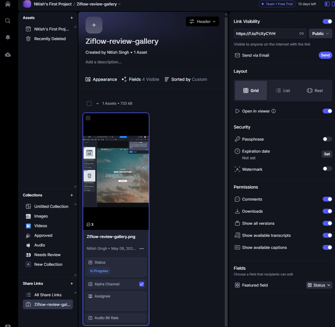 frame.io share options