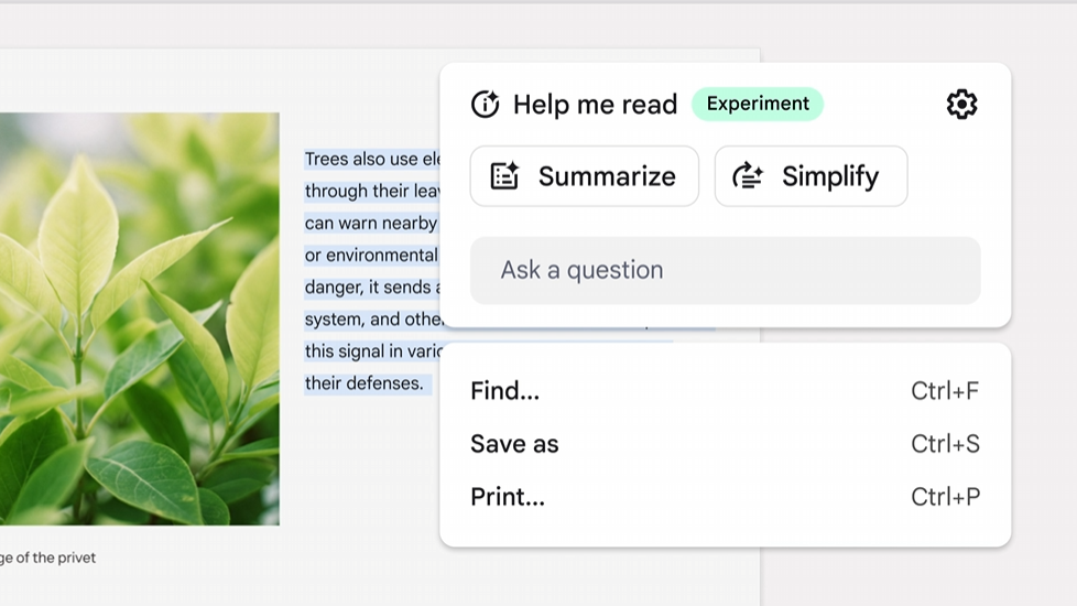 help me read